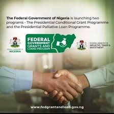 Federal Government Grant NIN Verification
